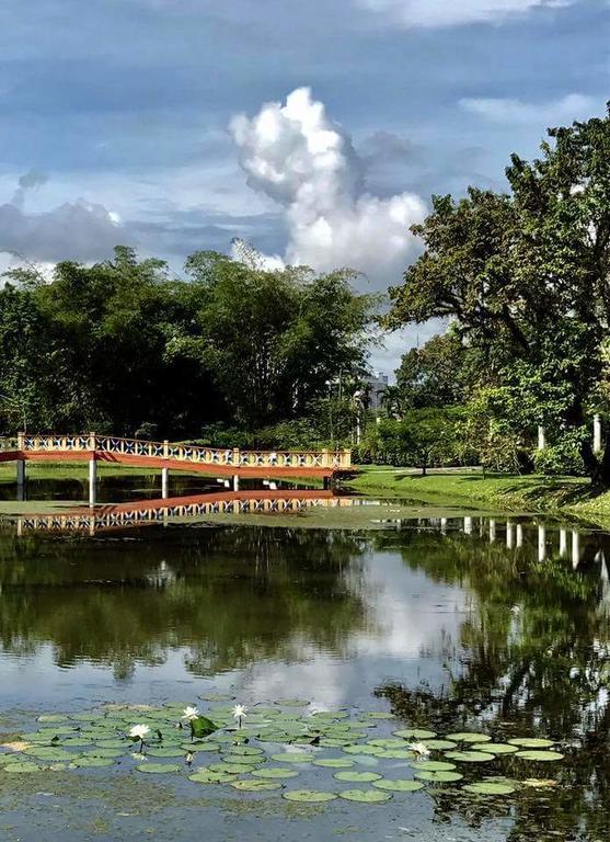 Taiping Homestay المظهر الخارجي الصورة