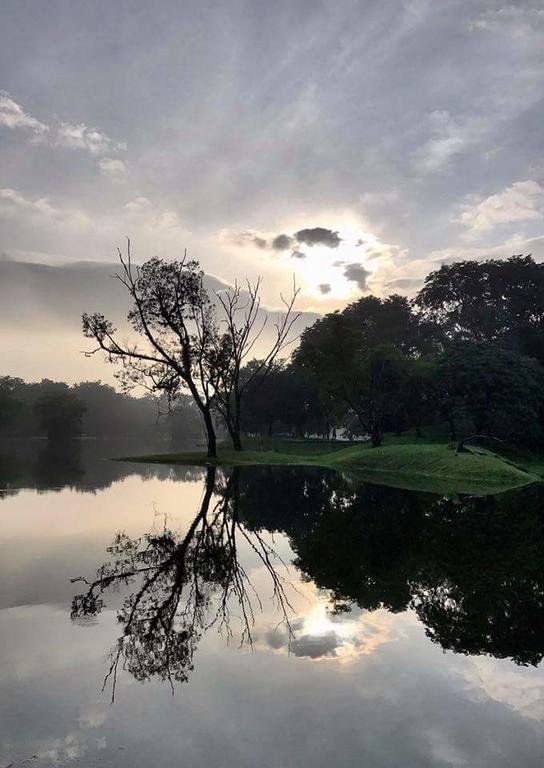 Taiping Homestay المظهر الخارجي الصورة
