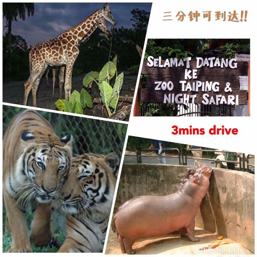 Taiping Homestay المظهر الخارجي الصورة